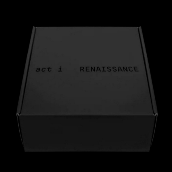 Beyoncé Renaissance Box set Pose 1 Size Medium - Picture 4 of 12